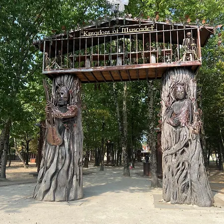 Rivella מלון קליסון